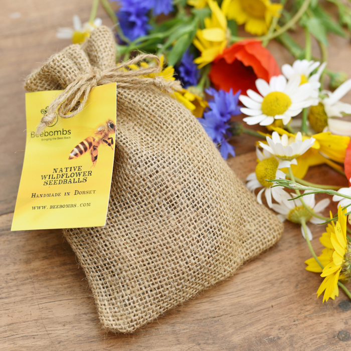 Corn Chamomile — Beebombs